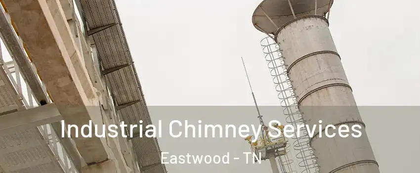 Industrial Chimney Services Eastwood - TN