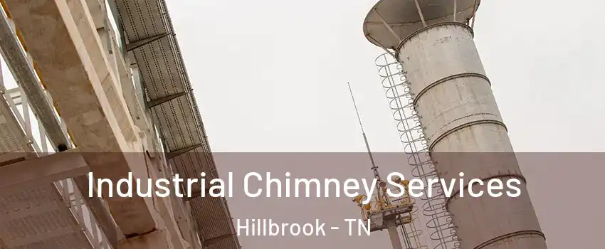 Industrial Chimney Services Hillbrook - TN