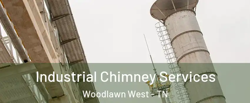Industrial Chimney Services Woodlawn West - TN