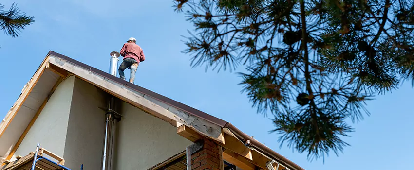 Birds Removal Contractors from Chimney in Spence Lane, TN