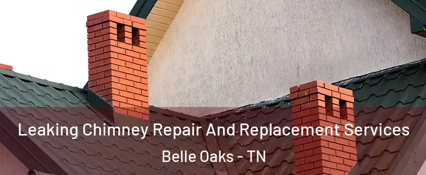 Leaking Chimney Repair And Replacement Services Belle Oaks - TN