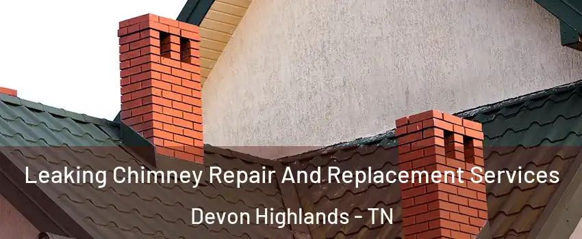 Leaking Chimney Repair And Replacement Services Devon Highlands - TN