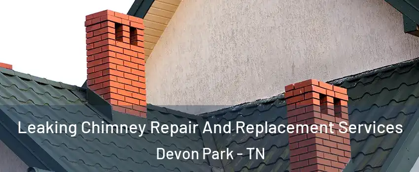 Leaking Chimney Repair And Replacement Services Devon Park - TN