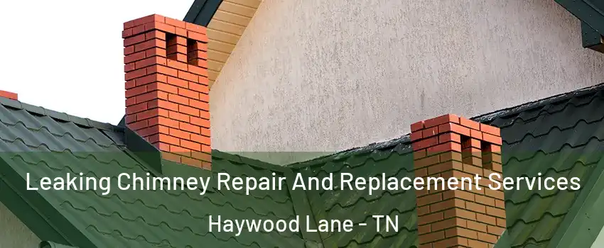 Leaking Chimney Repair And Replacement Services Haywood Lane - TN