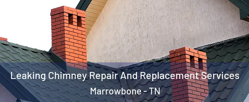 Leaking Chimney Repair And Replacement Services Marrowbone - TN