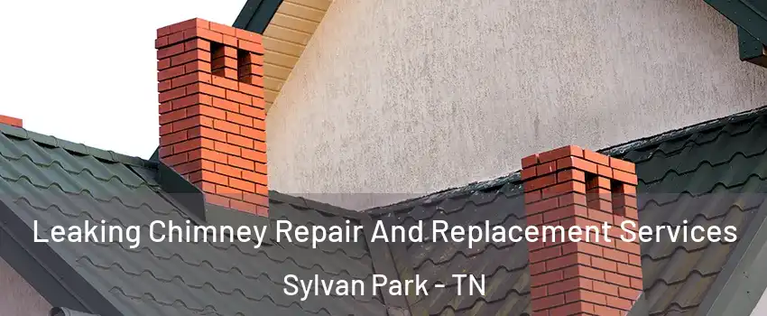 Leaking Chimney Repair And Replacement Services Sylvan Park - TN