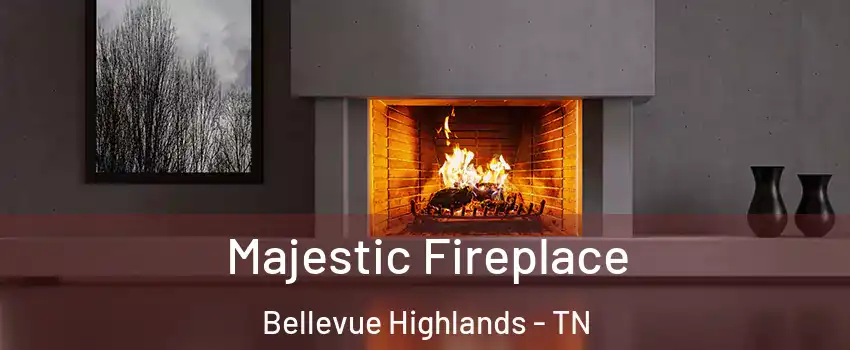 Majestic Fireplace Bellevue Highlands - TN