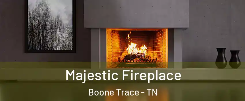 Majestic Fireplace Boone Trace - TN