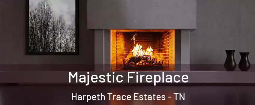 Majestic Fireplace Harpeth Trace Estates - TN