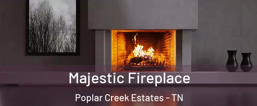 Majestic Fireplace Poplar Creek Estates - TN