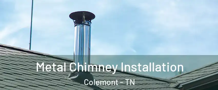 Metal Chimney Installation Colemont - TN