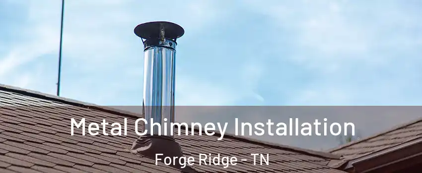 Metal Chimney Installation Forge Ridge - TN