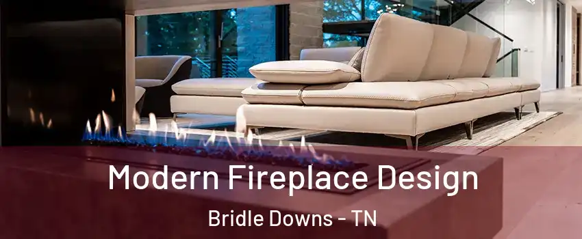 Modern Fireplace Design Bridle Downs - TN