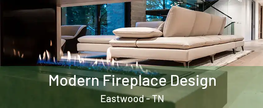 Modern Fireplace Design Eastwood - TN