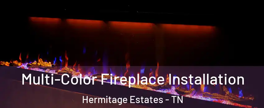 Multi-Color Fireplace Installation Hermitage Estates - TN