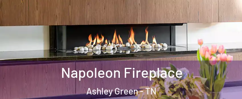 Napoleon Fireplace Ashley Green - TN