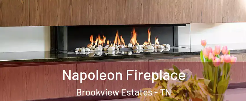 Napoleon Fireplace Brookview Estates - TN