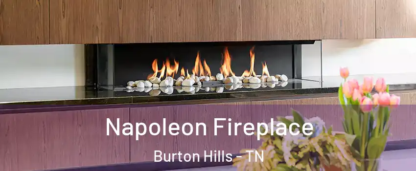 Napoleon Fireplace Burton Hills - TN