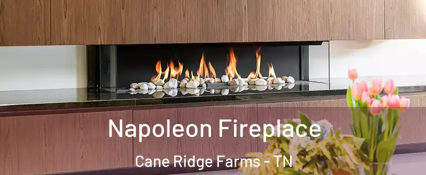 Napoleon Fireplace Cane Ridge Farms - TN