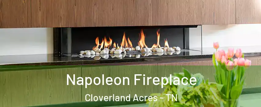 Napoleon Fireplace Cloverland Acres - TN