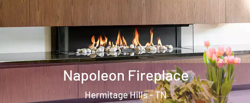 Napoleon Fireplace Hermitage Hills - TN