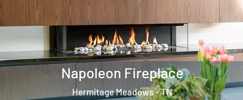 Napoleon Fireplace Hermitage Meadows - TN