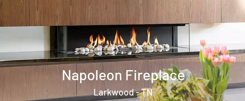 Napoleon Fireplace Larkwood - TN