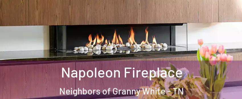Napoleon Fireplace Neighbors of Granny White - TN