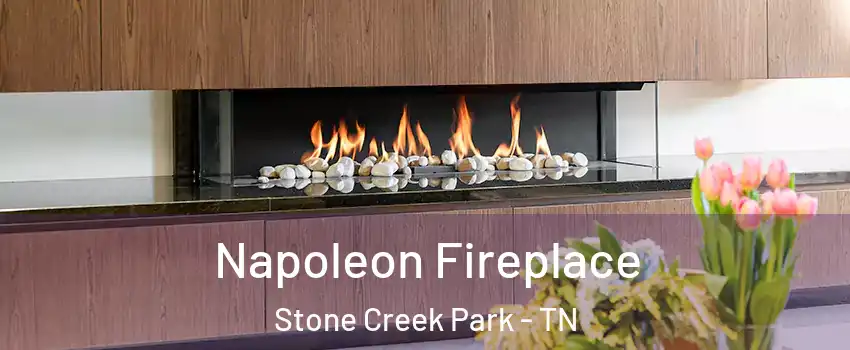 Napoleon Fireplace Stone Creek Park - TN