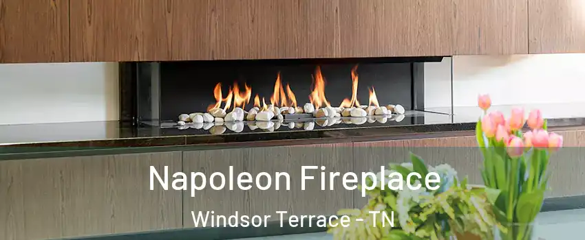 Napoleon Fireplace Windsor Terrace - TN