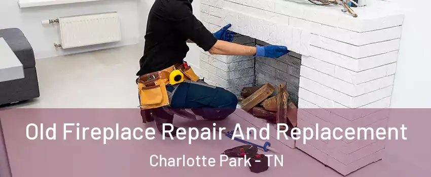 Old Fireplace Repair And Replacement Charlotte Park - TN