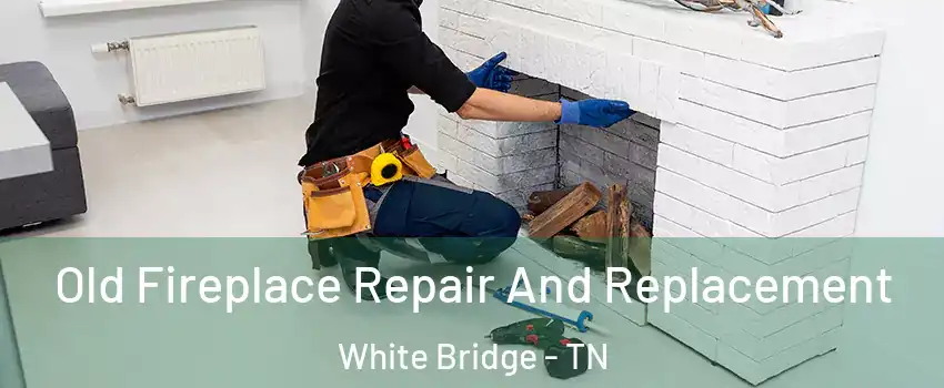 Old Fireplace Repair And Replacement White Bridge - TN