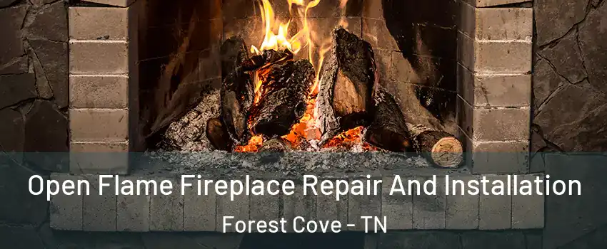 Open Flame Fireplace Repair And Installation Forest Cove - TN