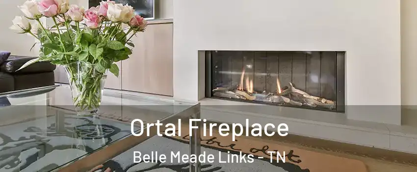 Ortal Fireplace Belle Meade Links - TN