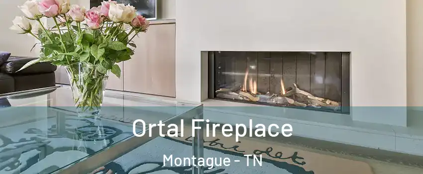 Ortal Fireplace Montague - TN