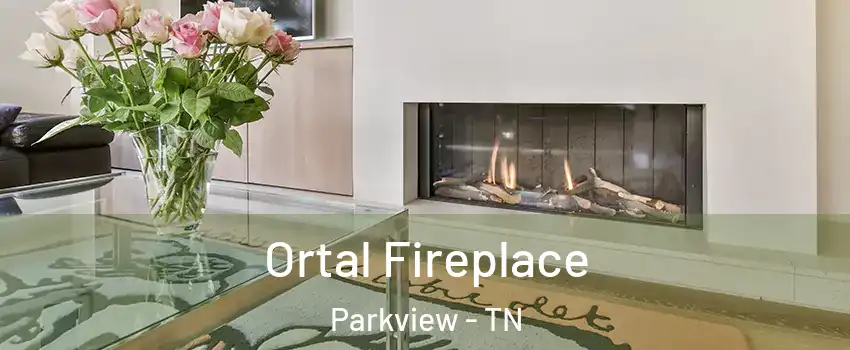 Ortal Fireplace Parkview - TN