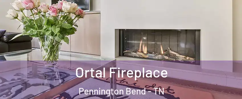 Ortal Fireplace Pennington Bend - TN