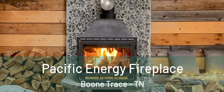 Pacific Energy Fireplace Boone Trace - TN