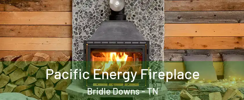 Pacific Energy Fireplace Bridle Downs - TN