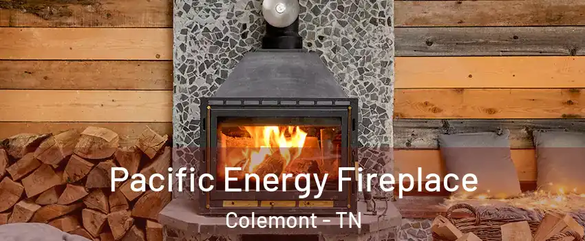 Pacific Energy Fireplace Colemont - TN