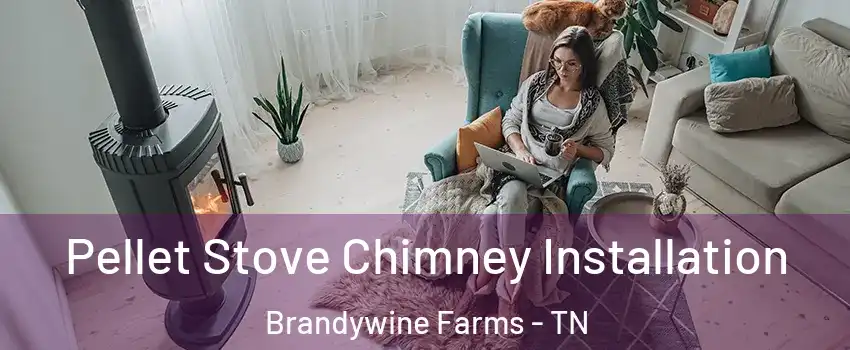 Pellet Stove Chimney Installation Brandywine Farms - TN