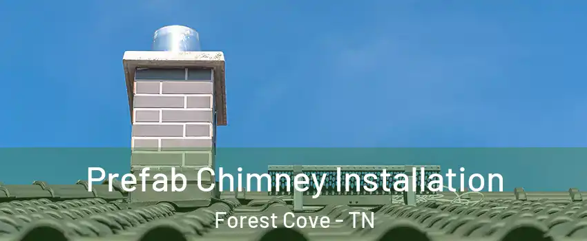 Prefab Chimney Installation Forest Cove - TN