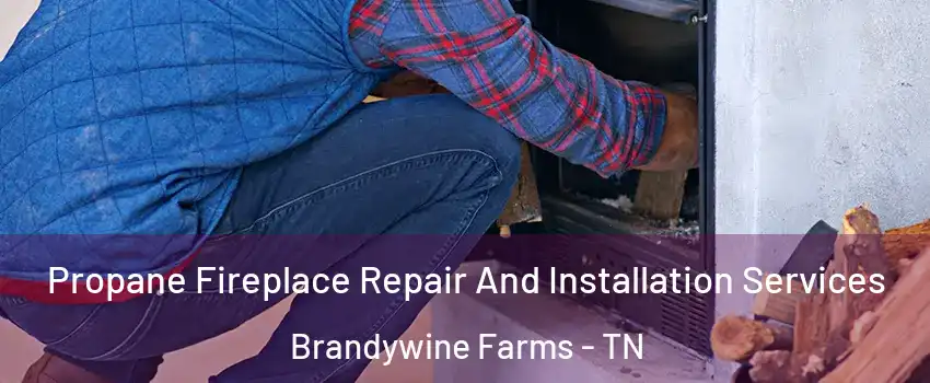 Propane Fireplace Repair And Installation Services Brandywine Farms - TN