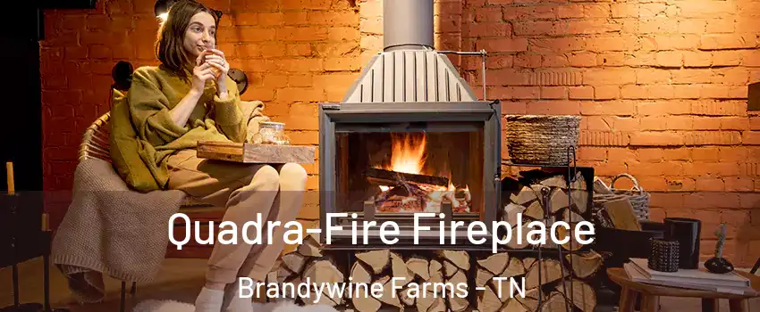 Quadra-Fire Fireplace Brandywine Farms - TN