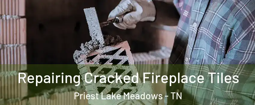 Repairing Cracked Fireplace Tiles Priest Lake Meadows - TN