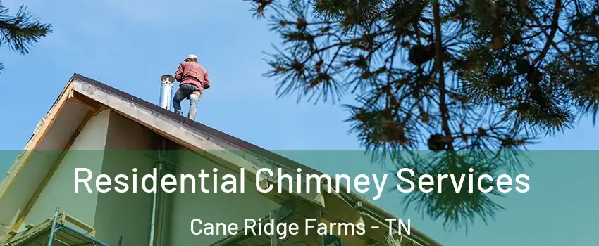 Residential Chimney Services Cane Ridge Farms - TN