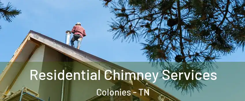 Residential Chimney Services Colonies - TN