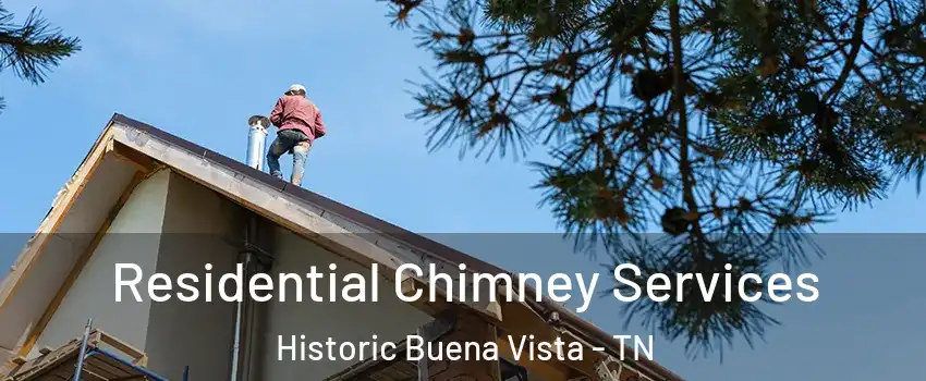 Residential Chimney Services Historic Buena Vista - TN