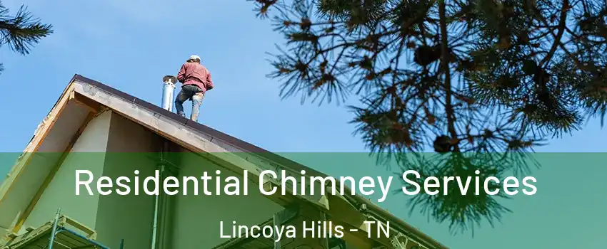 Residential Chimney Services Lincoya Hills - TN