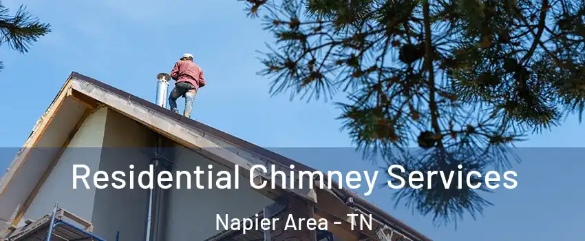 Residential Chimney Services Napier Area - TN